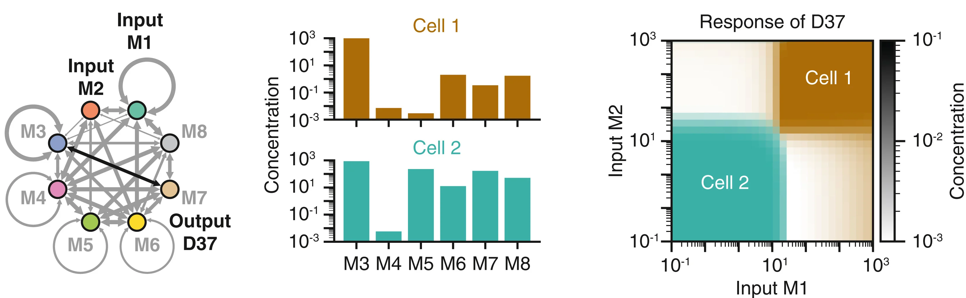 Open access visualization of Network, Bar Plot, Heatmap, Monomer Expression, AND Gate