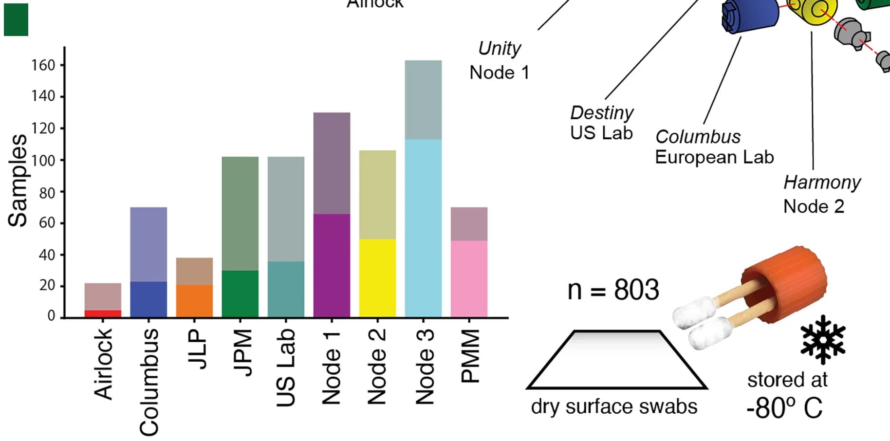 Open access visualization of Stacked Bar Plot, Illustration, Bar Plots, Samples, Module