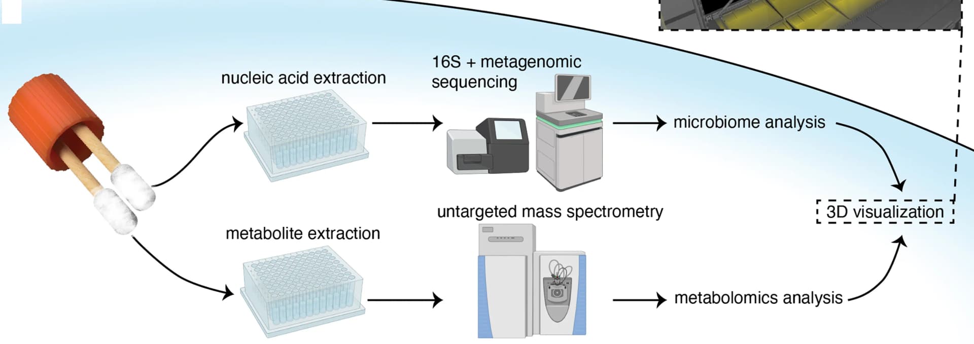 Open access visualization of Workflow, Illustration, 3D Plot, Multi-omic, Sample Processing