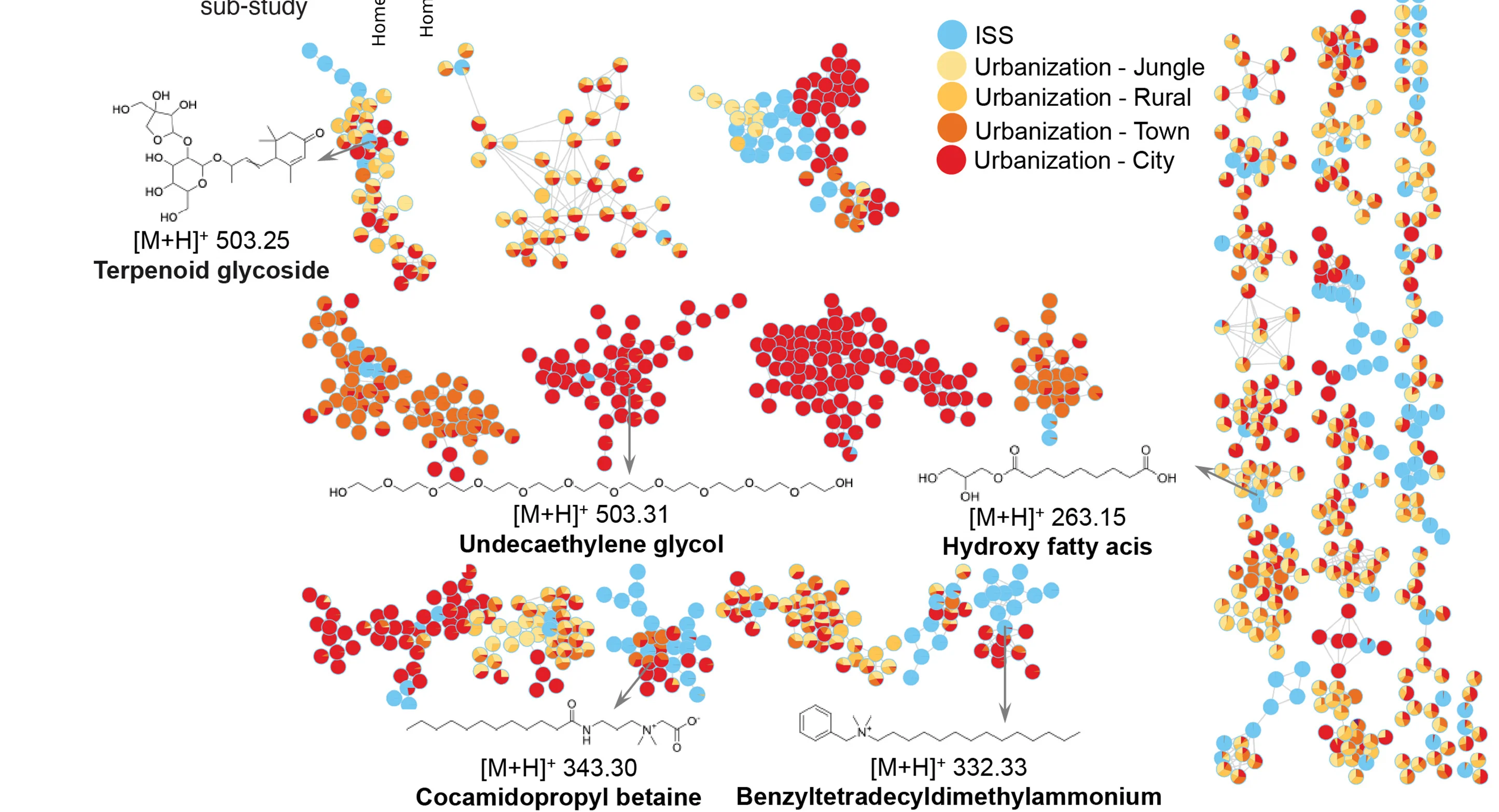 Open access visualization of Network, Pie Chart, Molecular Network, Surface Samples, ISS