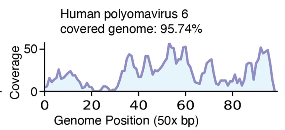 Open access visualization of Line Plot, Coverage Depth, Human Polyomavirus 6, Genome Coverage