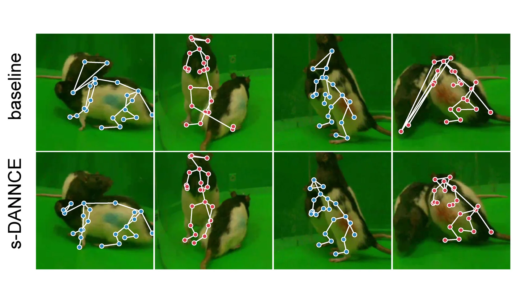 Open access visualization of Microscopy, Photo, Network, 3D Poses, Baseline DANNCE