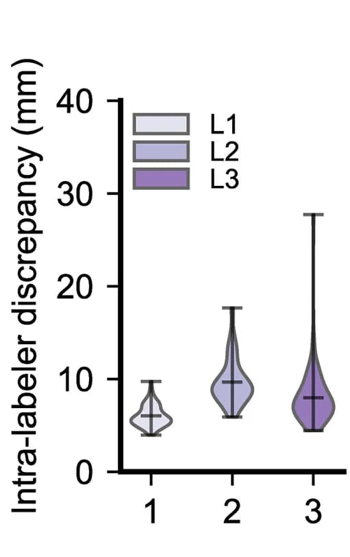 Open access visualization of Violin Plot, Human Labelers, Close Interactions, Annotation Discrepancies, Violin Plots