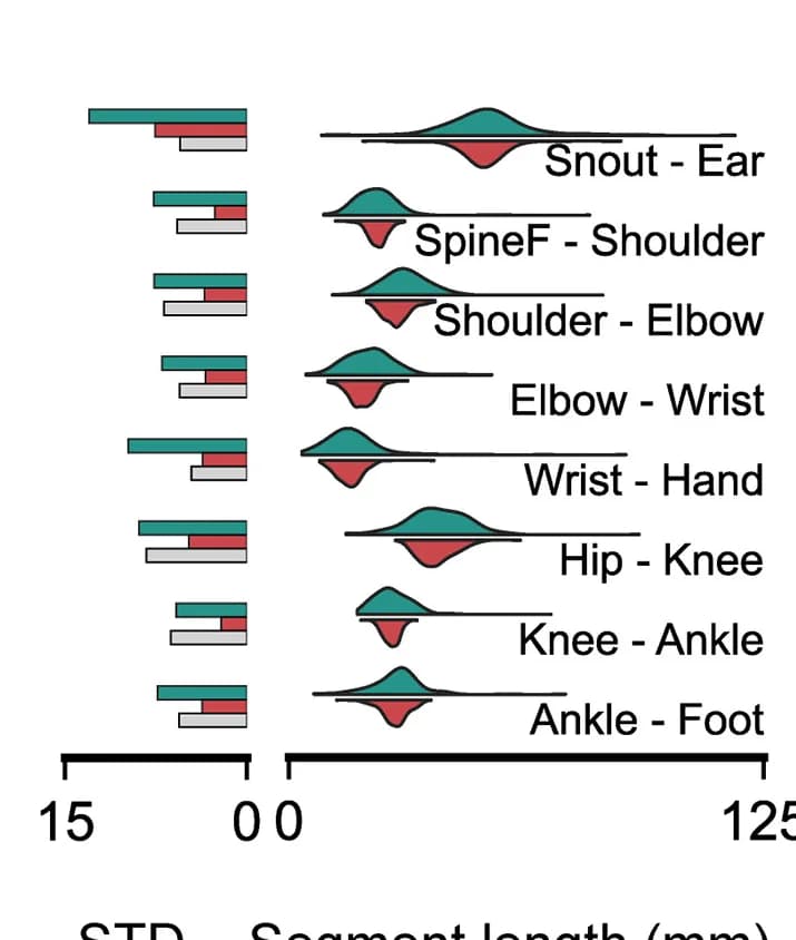 Open access visualization of Violin Plot, Bar Plot, Segment Length Standard Deviations, Model Predictions, Human Annotations