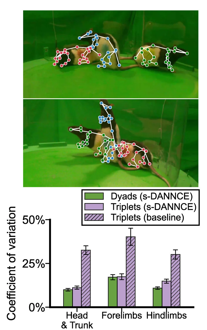 Open access visualization of Bar Plot, Error Bars, Photo, s-DANNCE, 3D Poses