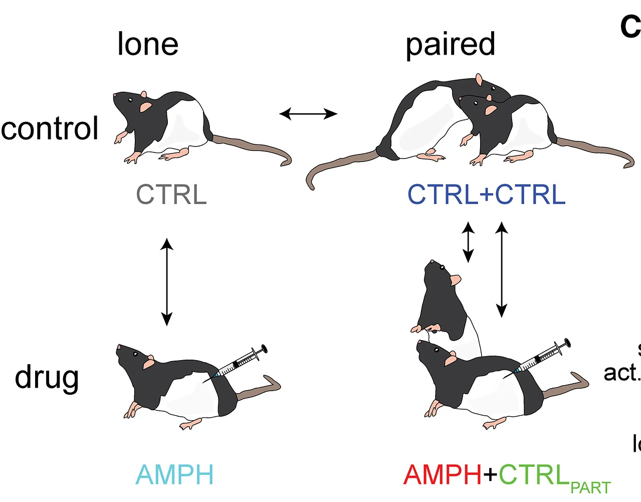 Open access visualization of Workflow, Illustration, Behavioral Contexts, Group Labels, Markers