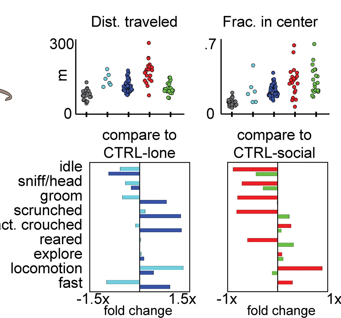 Open access visualization of Bar Plot, Scatter Plot, Distance Traveled, Arena Center, Recording