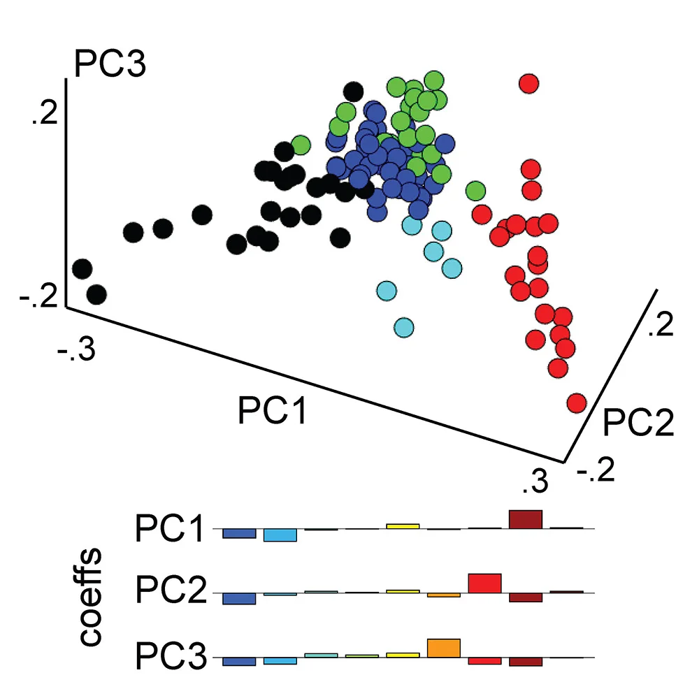 Open access visualization of 3D Plot, Scatter Plot, PCA, Bar Plot, PC Scores