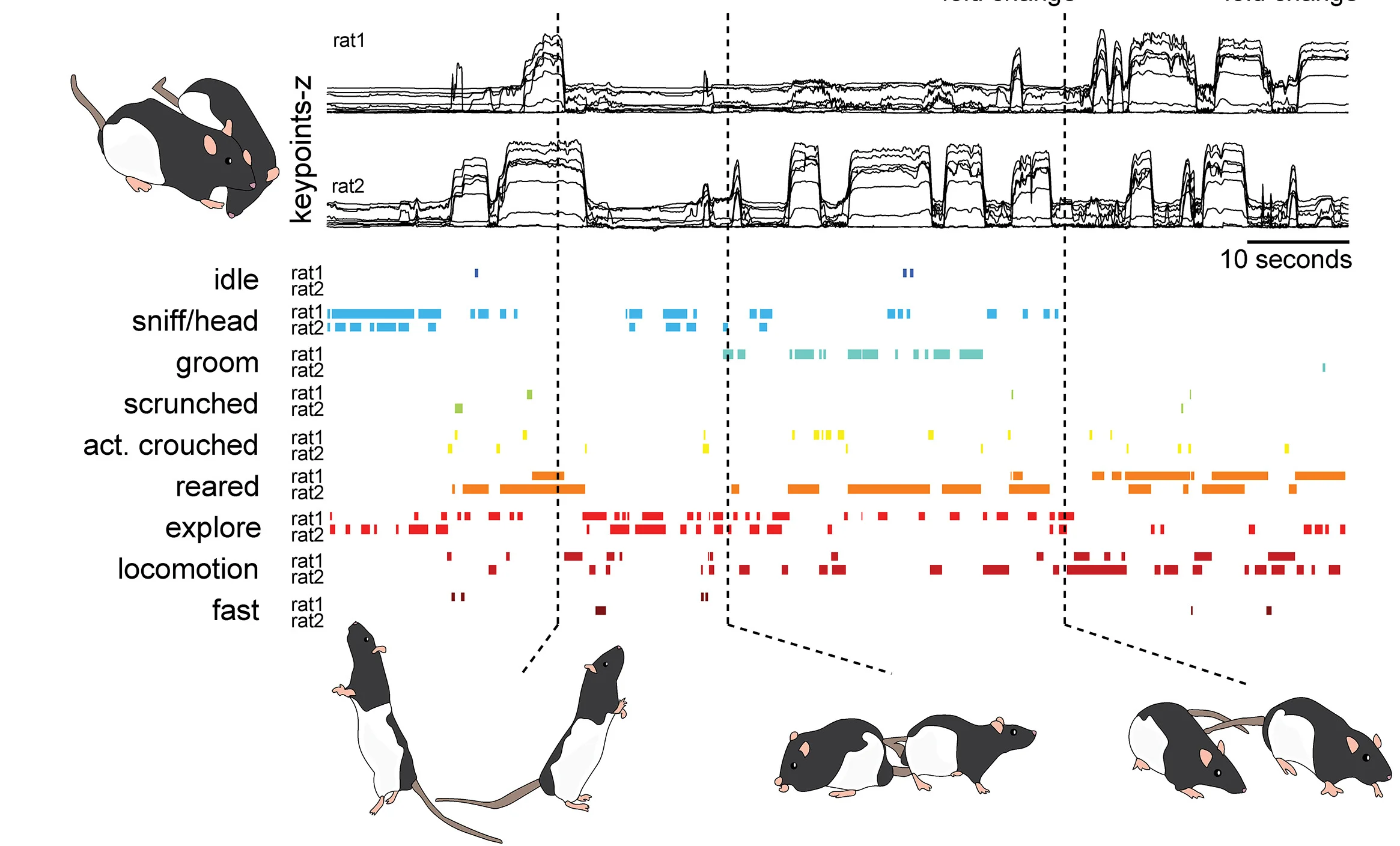 Open access visualization of Line Plot, Bar Plot, Illustration, Keypoint Kinematics, HLACs