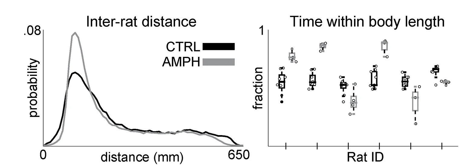Open access visualization of Density Plot, Box Plot, Scatter Plot, Inter-animal distance, CTRL+CTRL