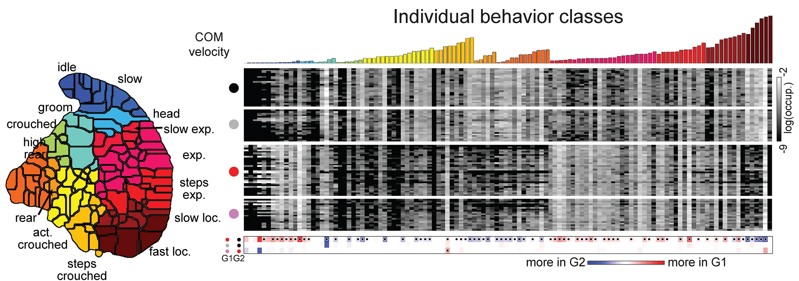 Open access visualization of Heatmap, Bar Plot, Illustration, Scatter Plot, LLACs