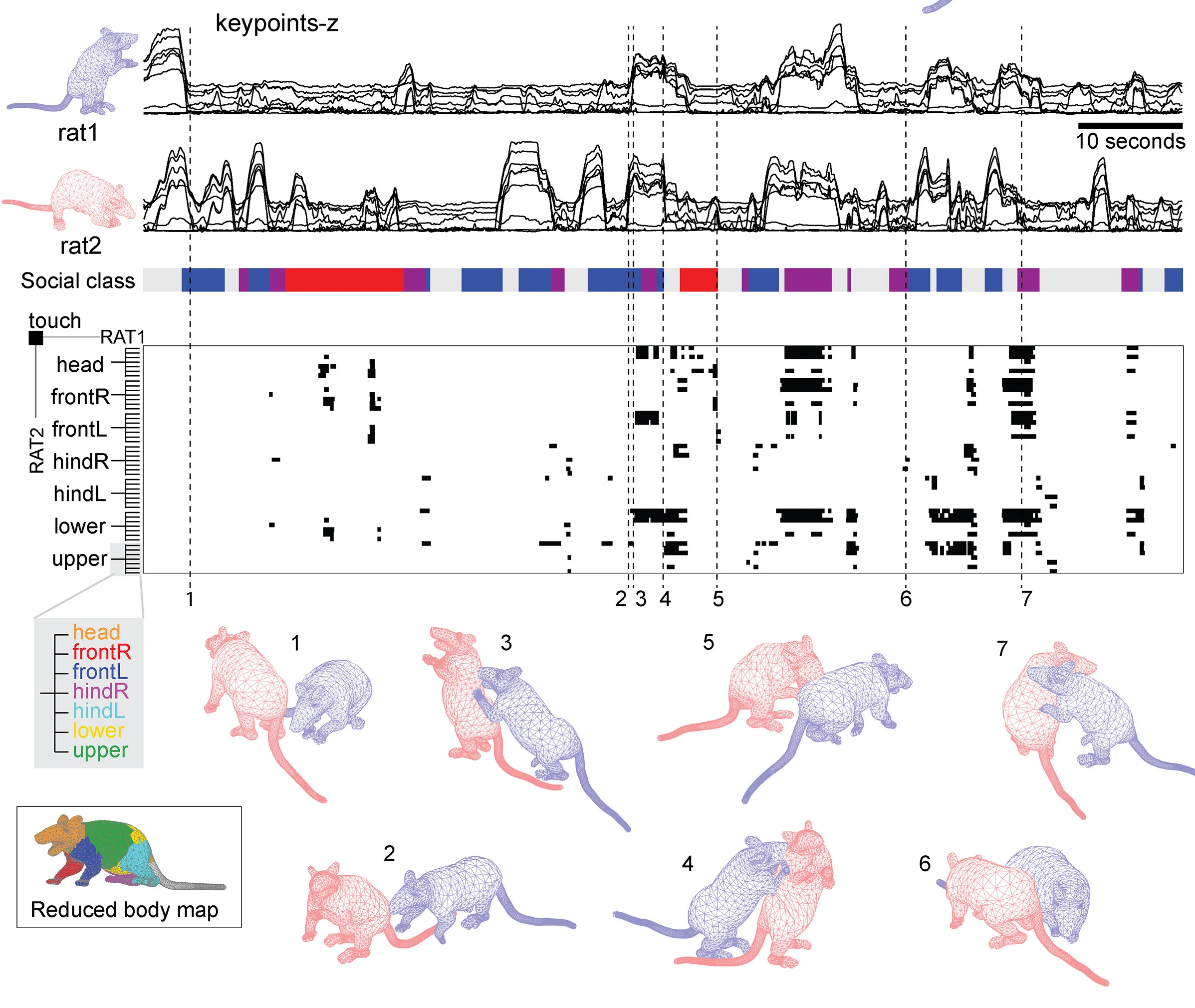Open access visualization of Line Plot, Heatmap, Illustration, Keypoint Traces, HLJC