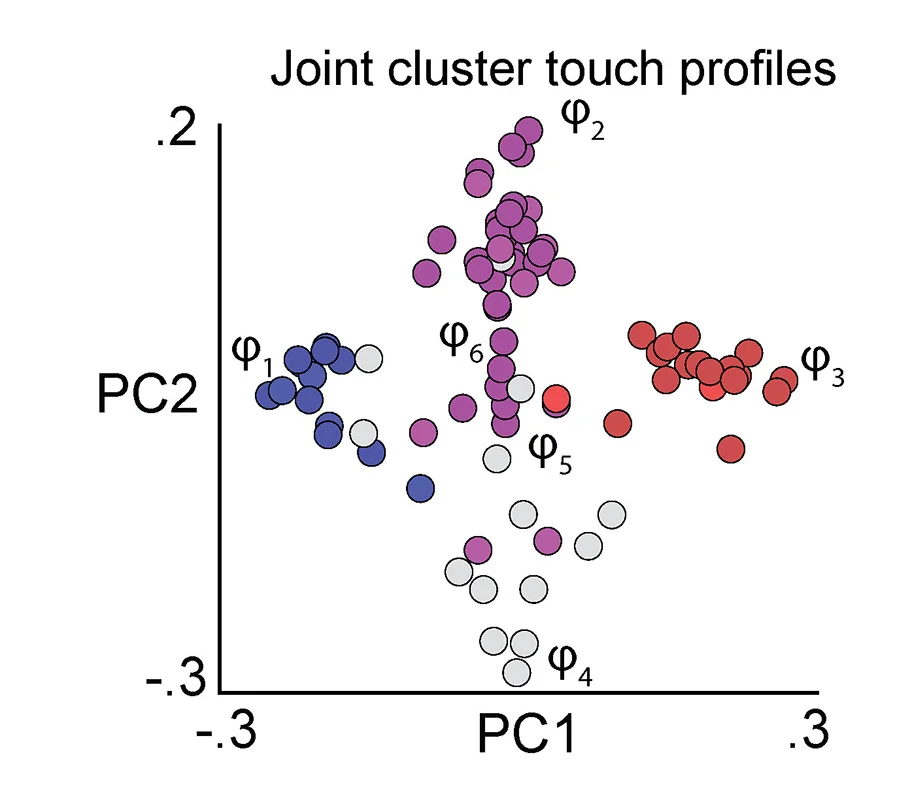 Open access visualization of Scatter Plot, PCA, PC Scores, Touch Profile, LLJC