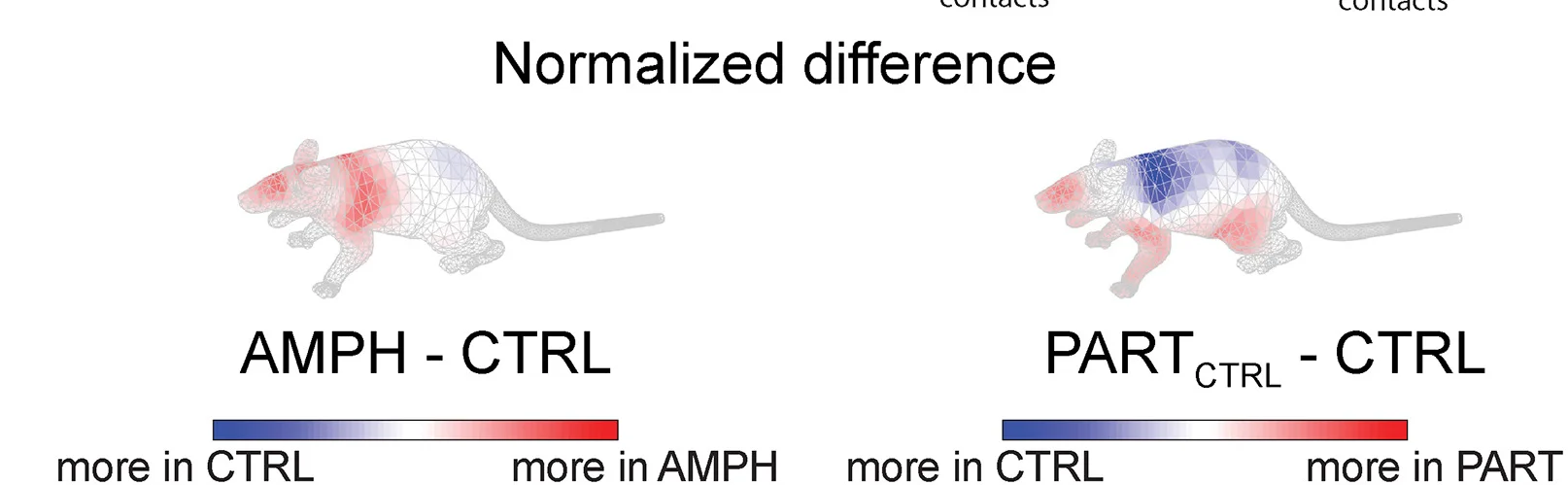 Open access visualization of Heatmap, Mean Touch Profiles, CTRL, AMPH, CTRLPART Animals