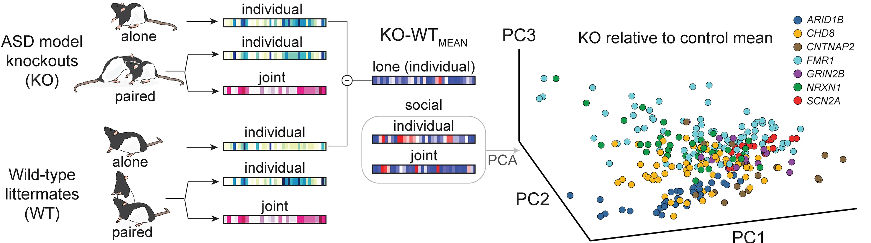 Open access visualization of Scatter Plot, PCA, Illustration, LLACs, HLAC Occupancy