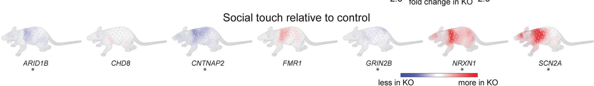 Open access visualization of Heatmap, Touch Profiles, Knockout, Wild Type, Body Part