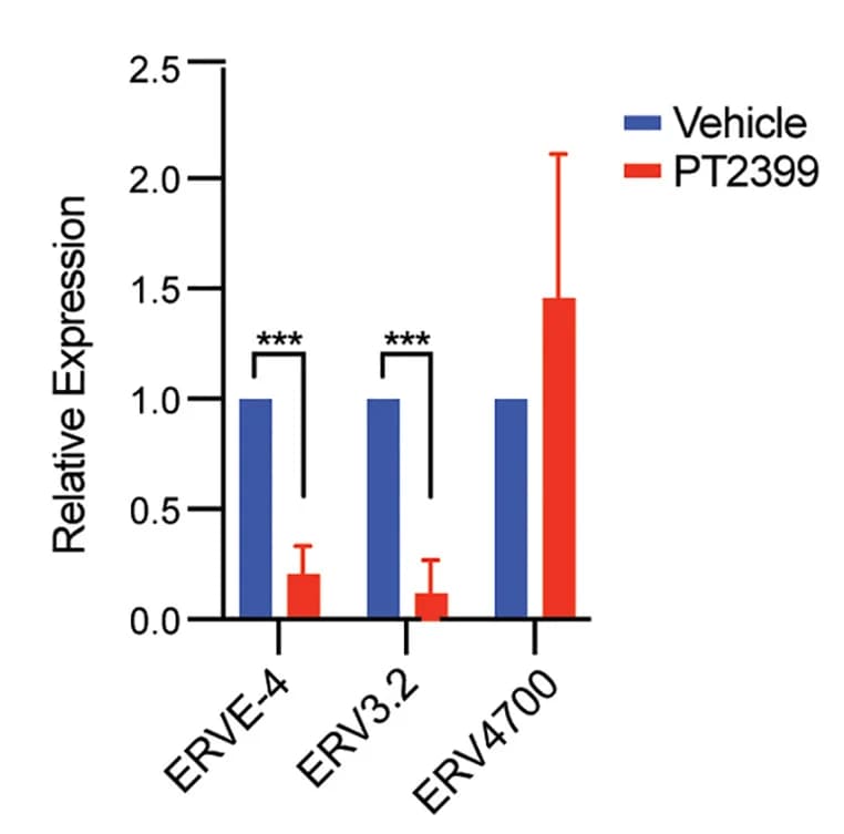 Open access visualization of Bar Plot, Error Bars, Clustered, ERV RNA Levels, 786-O Cells