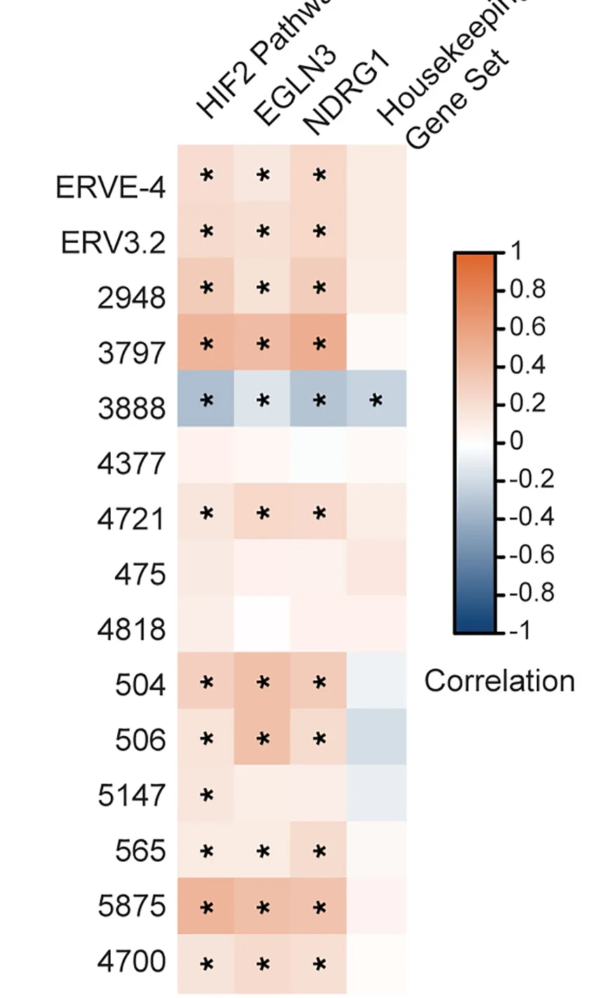 Open access visualization of Heatmap, Correlation Matrix, Pearson’s R, ERV, HIF2 Signature