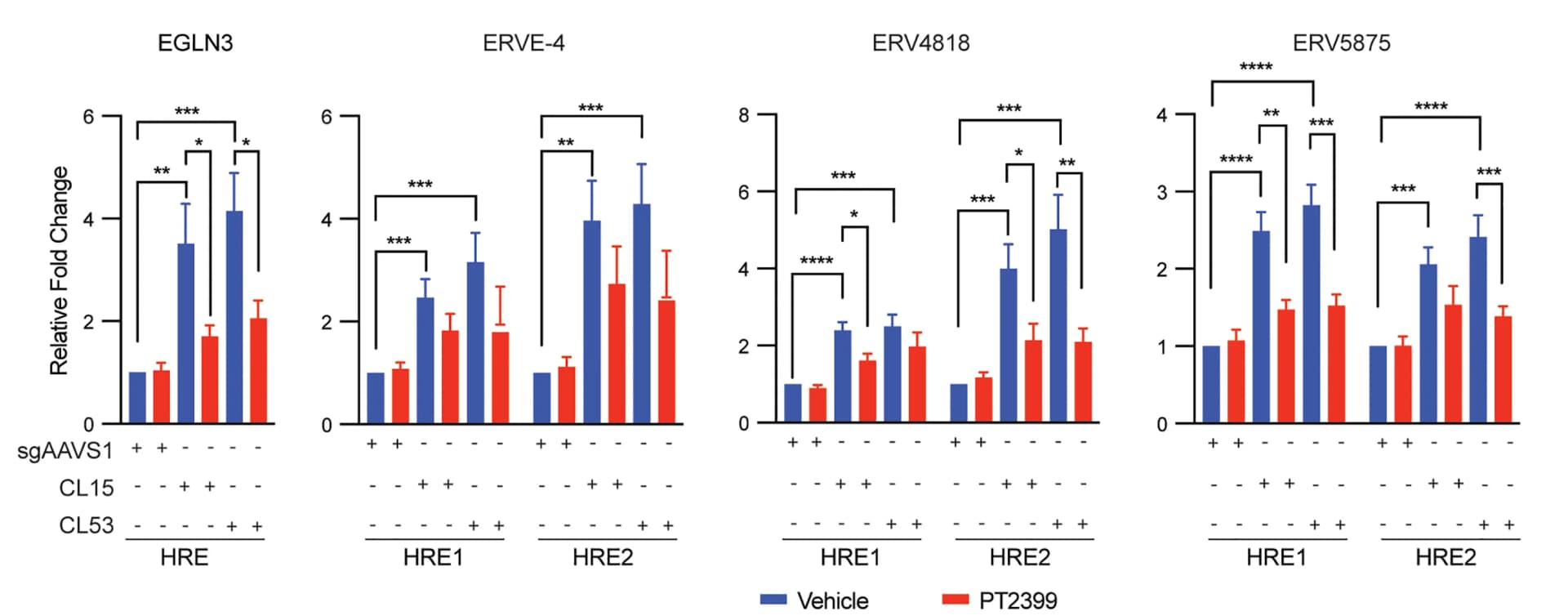 Open access visualization of Bar Plot, Error Bars, Clustered, ChIP-qPCR, FLAG-HIF2alpha Cells
