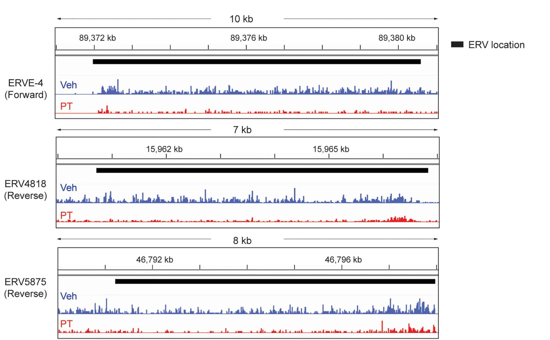 Open access visualization of Line Plot, Nascent RNA, Tumor Cells