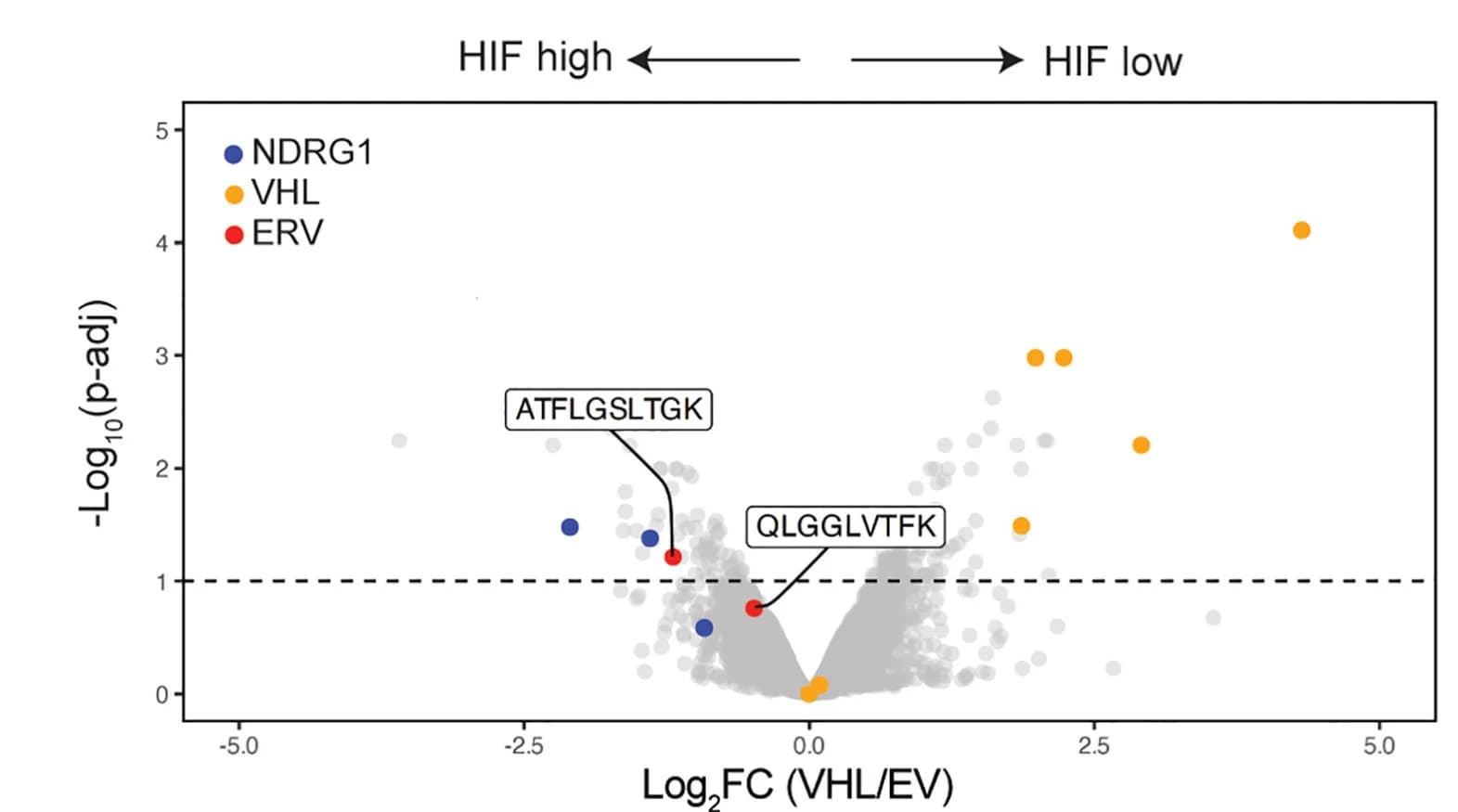 Open access visualization of Scatter Plot, HLA, Peptides, Human Proteome, ERV