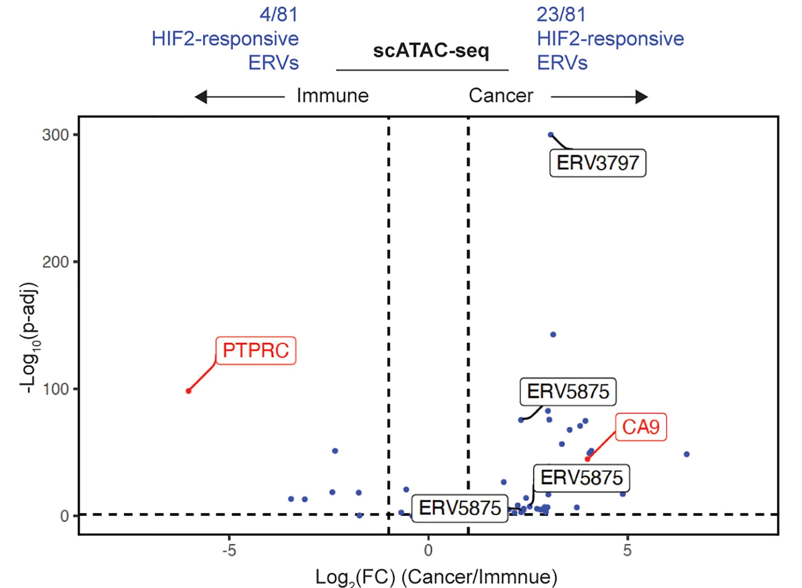 Open access visualization of Scatter Plot, Chromatin Accessibility, scATAC-seq Data, HIF2-responsive ERVs, Cancer Cells