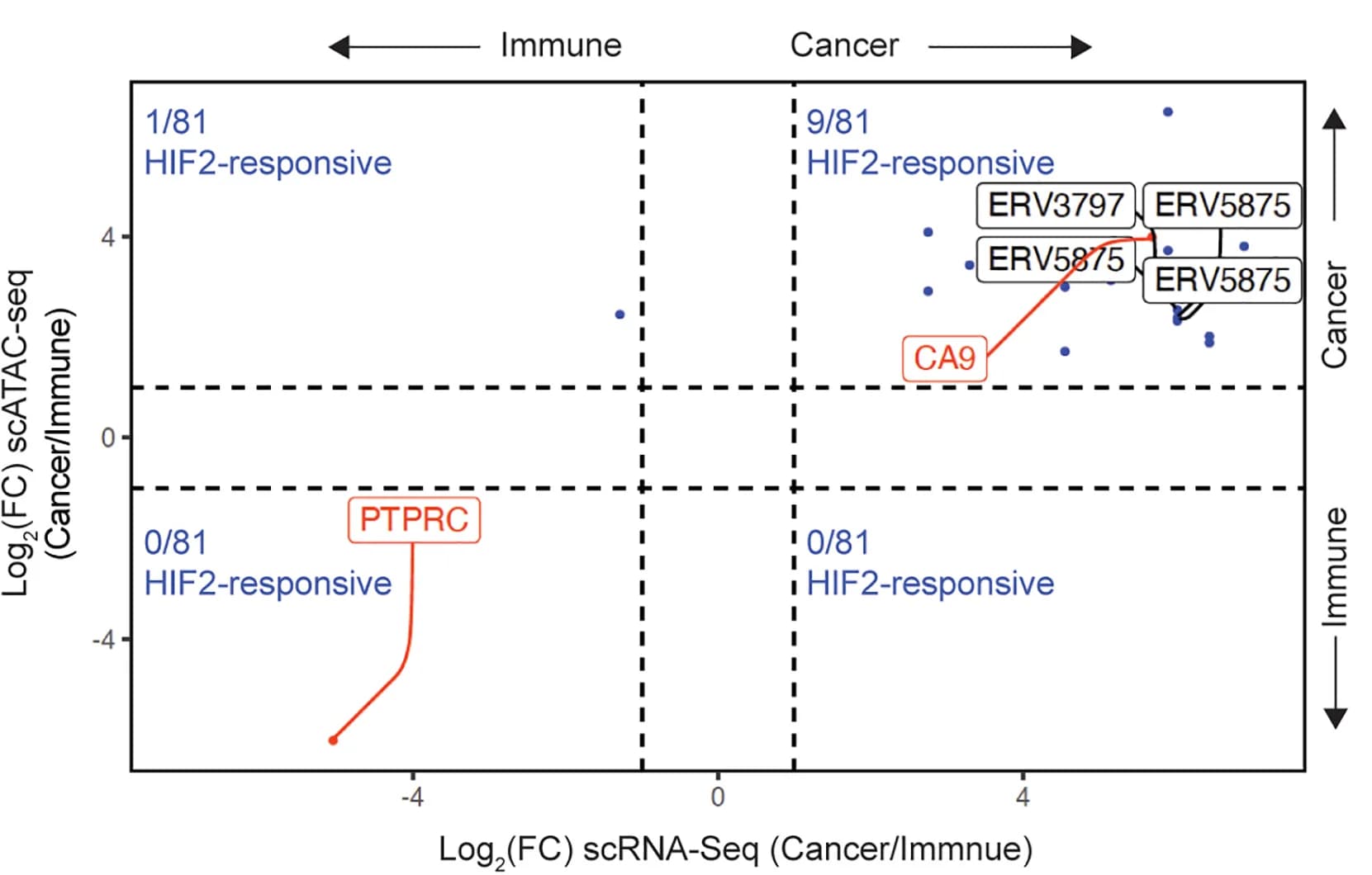 Open access visualization of Scatter Plot, Line Plot, ERV Expression, Chromatin Accessibility, Correlation