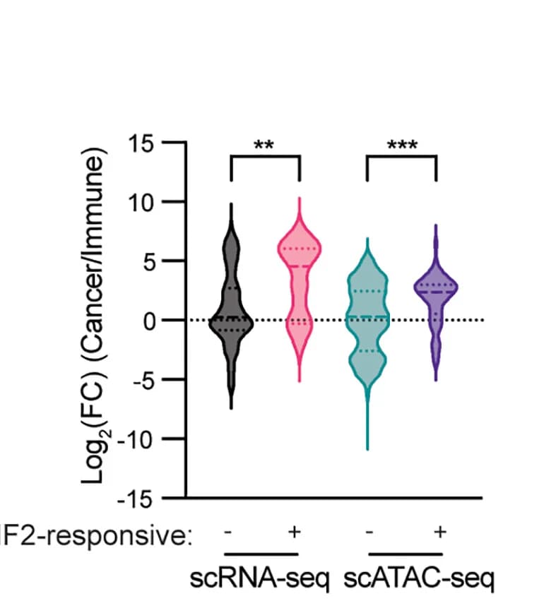 Open access visualization of Violin Plot, Violin Plots, ERV Expression, Chromatin Accessibility, HIF2-responsiveness