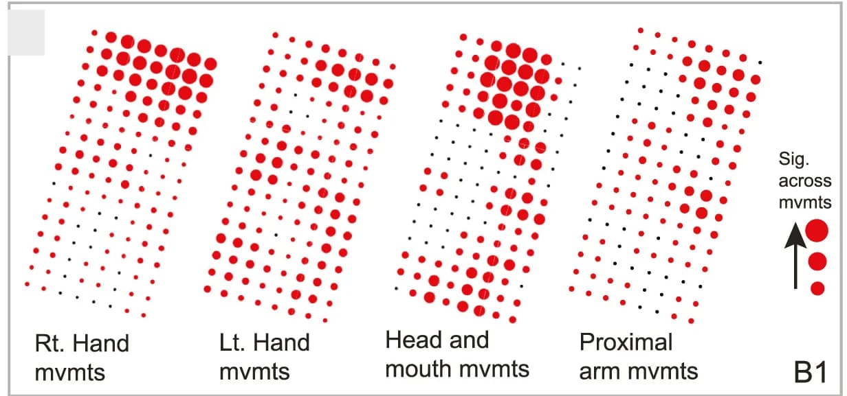 Open access visualization of Bubble Plot, Electrodes, Significant Activity, Effectors