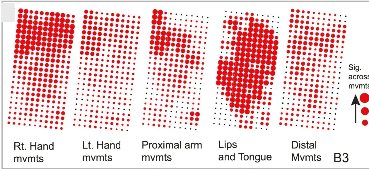 Open access visualization of Bubble Plot, Electrodes, Significant Activity, Effectors