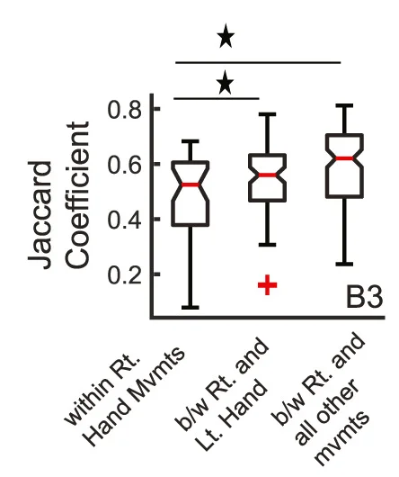 Open access visualization of Box Plot, Jaccard Similarity Coefficients, Right-Hand Spatial Maps, Effectors Spatial Maps, Boxplots