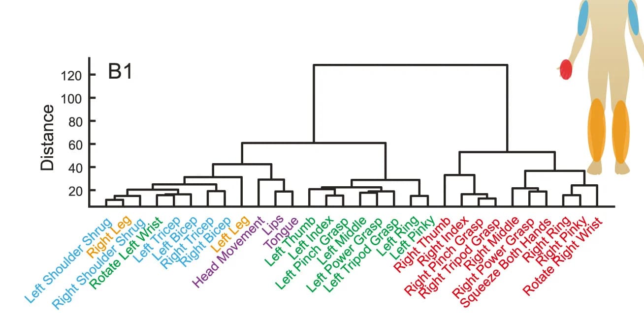 Open access visualization of Network, Pathway, Hierarchical Clustering, Distance Matrix, Effectors