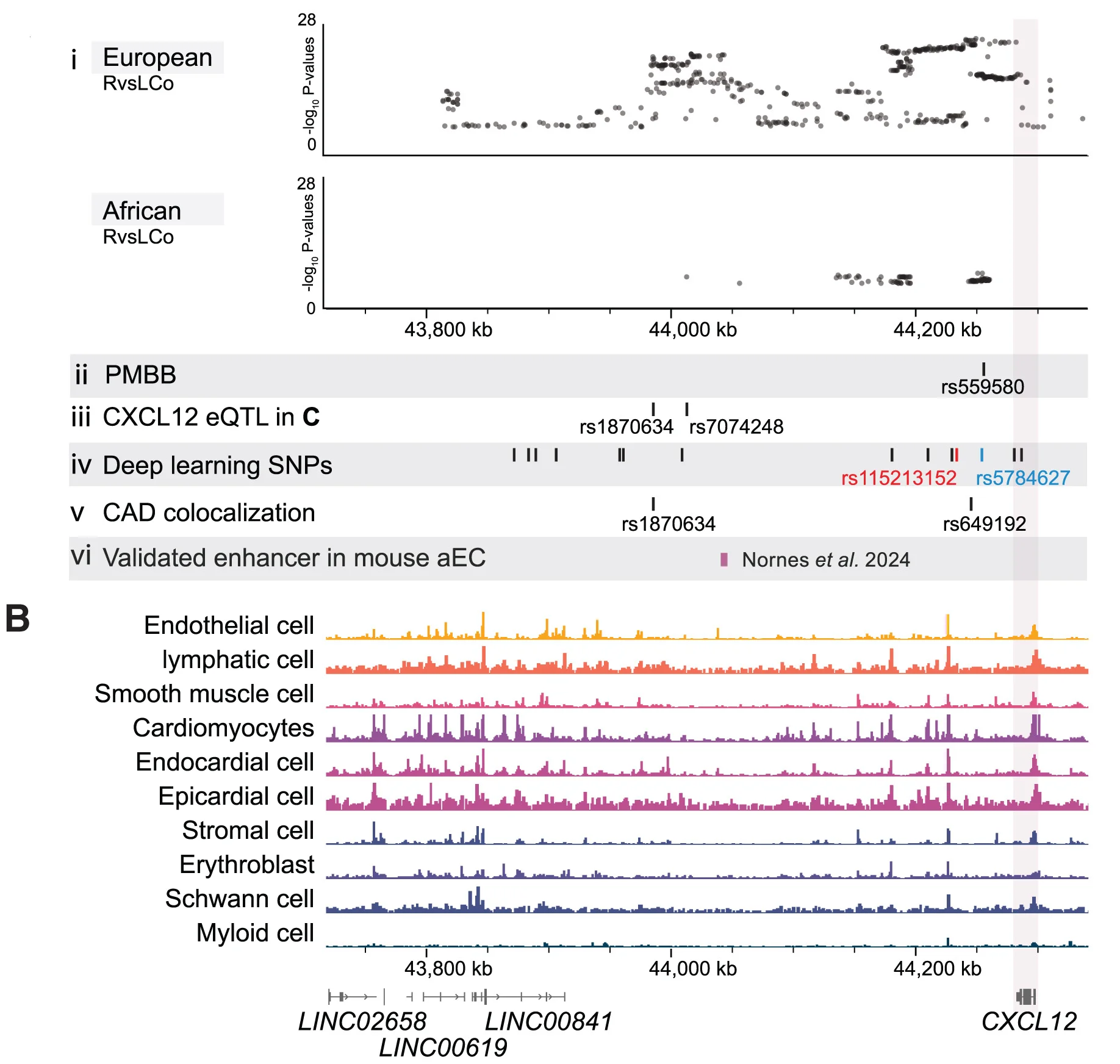 Open access visualization of Scatter Plot, Line Plot, SNPs, GWS, PMBB Replication Study