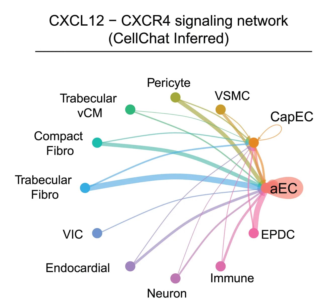 Open access visualization of Network, Pathway, Sankey, CXCL12, CXCR4