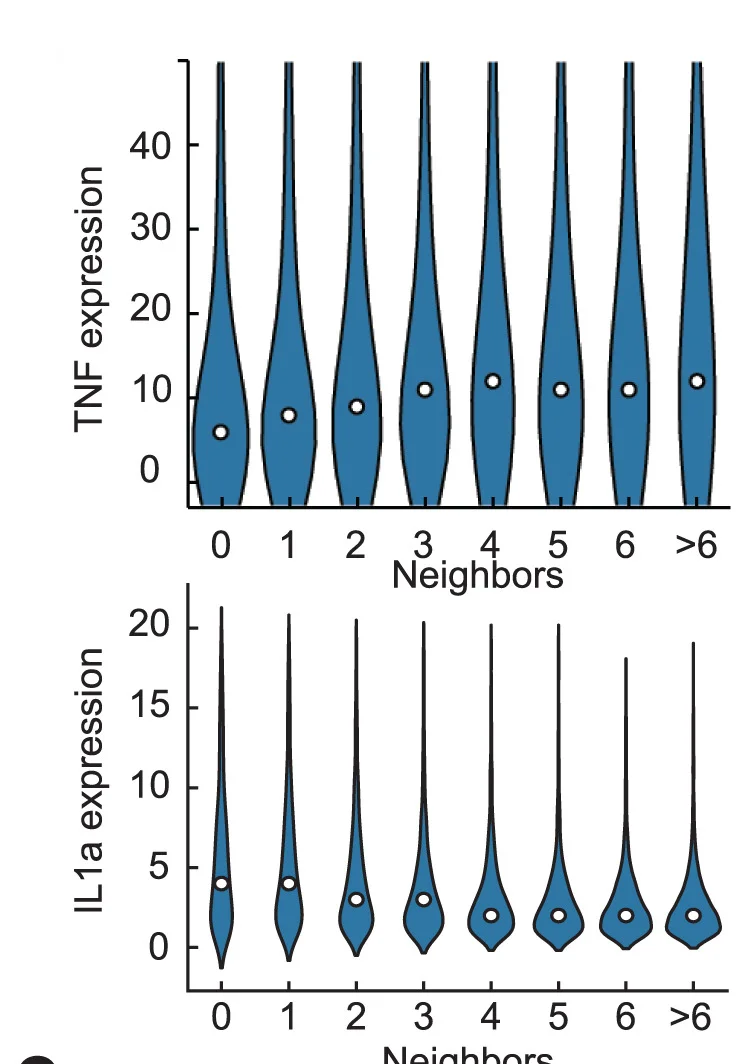 Open access visualization of Violin Plot, Violin Plots, Expression Level, TNF, IL1A
