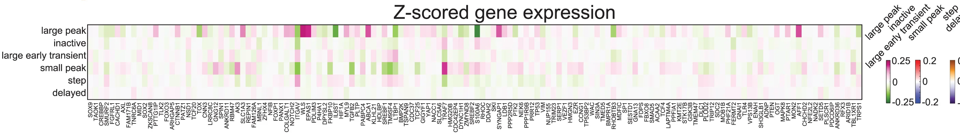 Open access visualization of Heatmap, Genes, Differential Expression, Z-Scored Expression, Calcium Activity