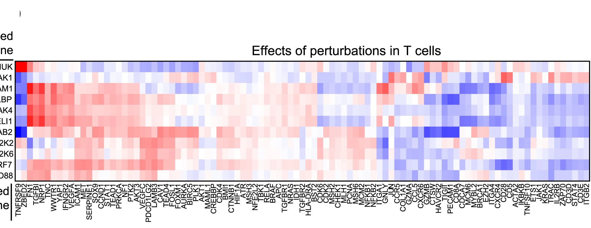 Open access visualization of Heatmap, LFC Effect Sizes, Perturbations, Tumor Cells, Gene Expression