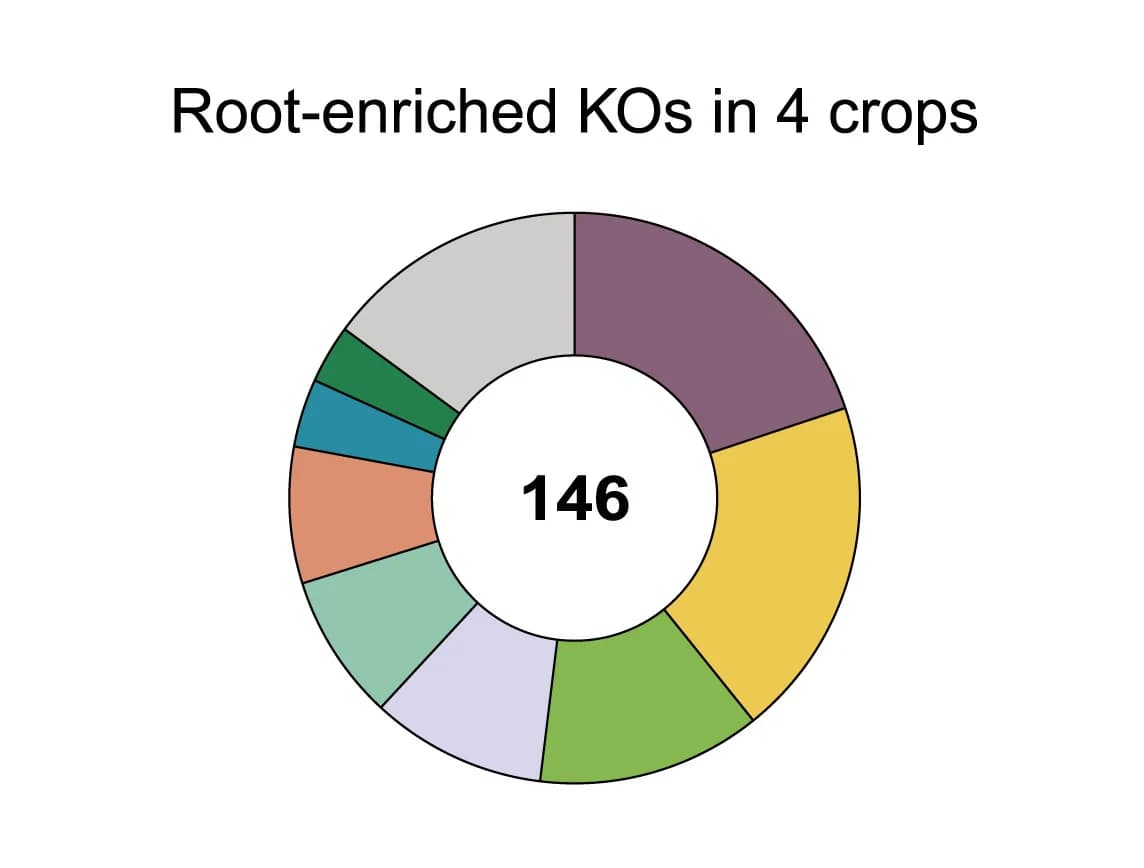 Open access visualization of Donut Chart, Functional Proportion, KOs, Host Species, Doughnut Charts