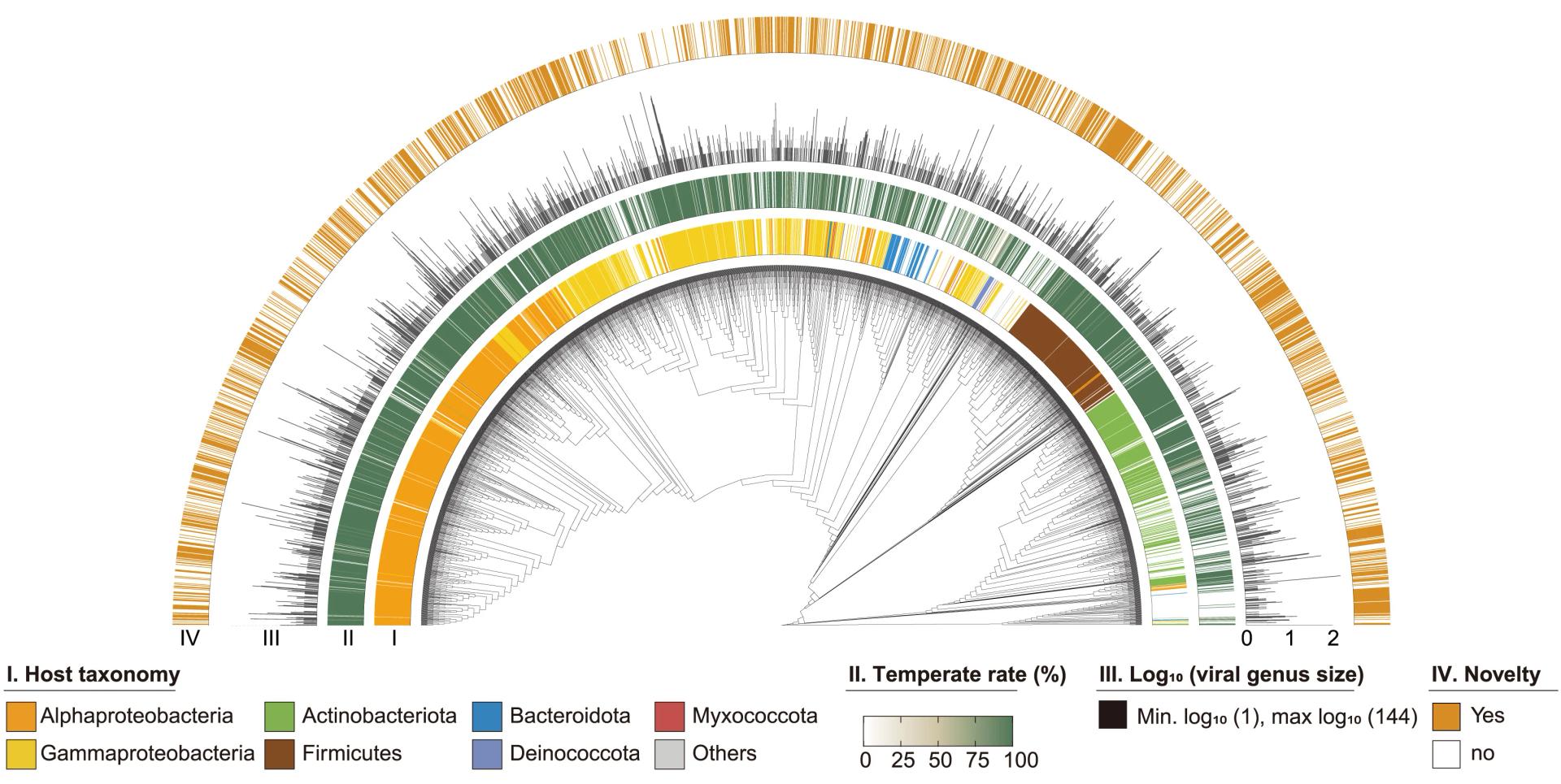 Open access visualization of Network, Bar Plot, Pie Chart, Viral Genus-Level Clusters, Crop Root Bacteria