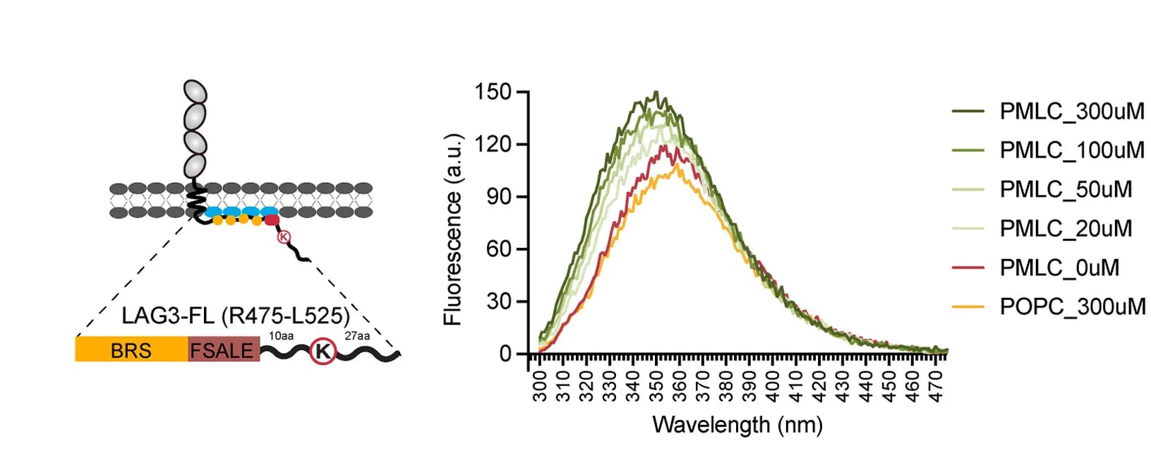 Open access visualization of Line Plot, Illustration, AFE Assay, Membrane Binding, LAG3-FL