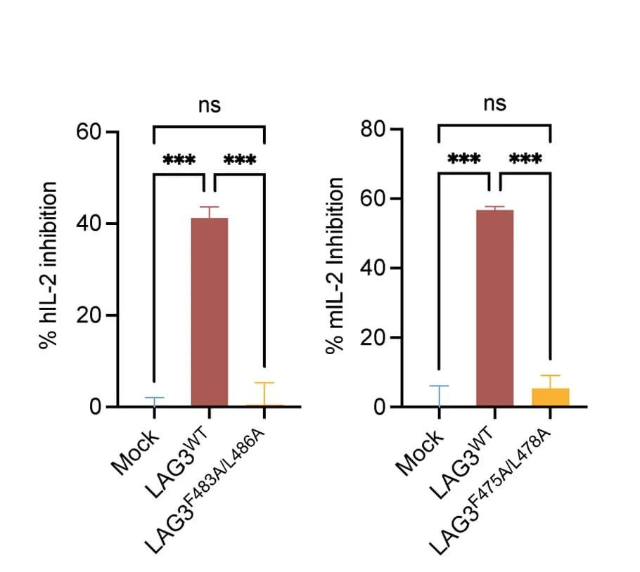 Open access visualization of Bar Plot, Error Bars, Inhibitory Function, LAG3FA/LAmutant, Jurkat