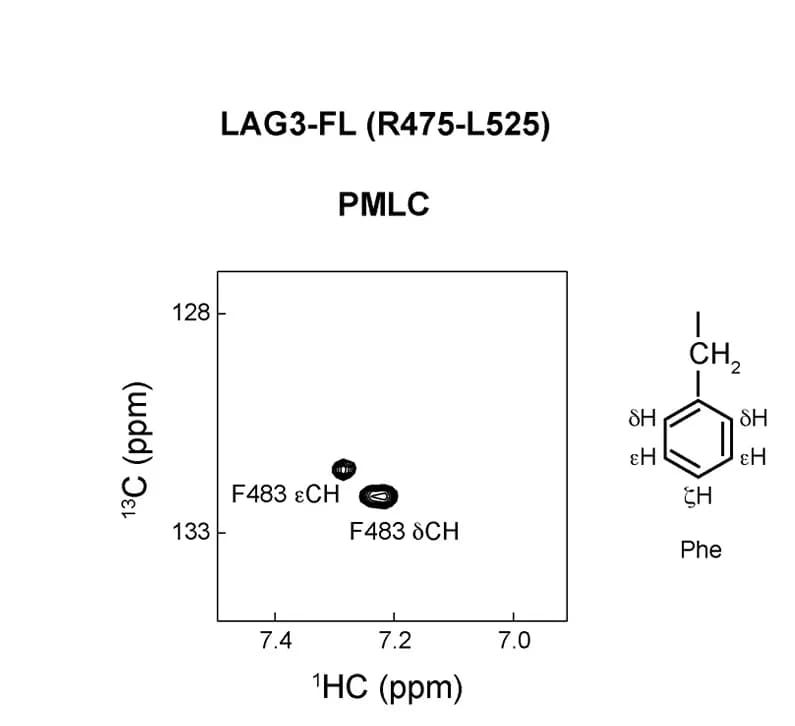 Open access visualization of Scatter Plot, Chemical Structure, 1H-13C TROSY-HSQC, F483, L486
