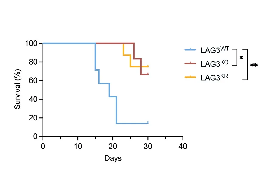 Open access visualization of Survival Curve, Line Plot, B16F10 Tumor, Mice, Anti-PD-1 Therapy