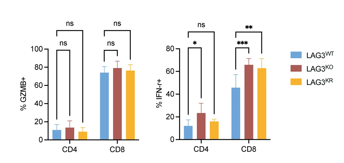 Open access visualization of Bar Plot, Error Bars, Clustered, Tumor-Infiltrating Immune Cells, Mice