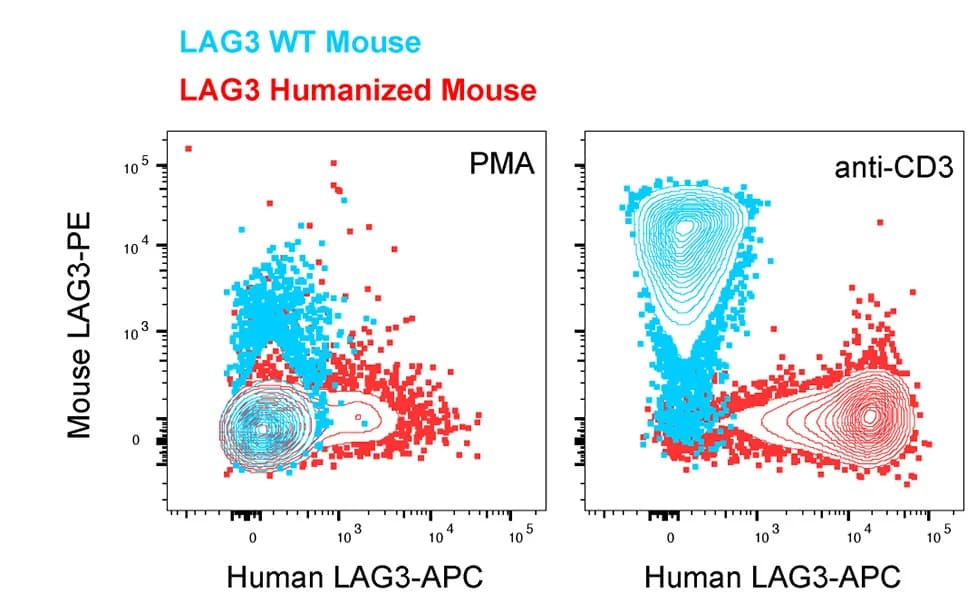 Open access visualization of Scatter Plot, LAG3, Expression, Humanized Mice