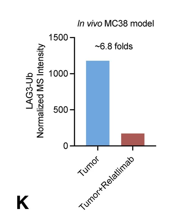 Open access visualization of Bar Plot, Ubiquitinated Peptides, LAG3, Protein Levels