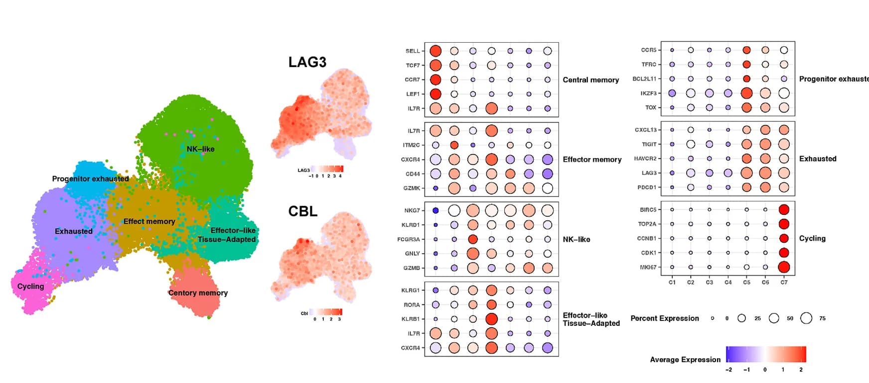 Open access visualization of UMAP, Bubble Plot, LAG3, CBL, Expression