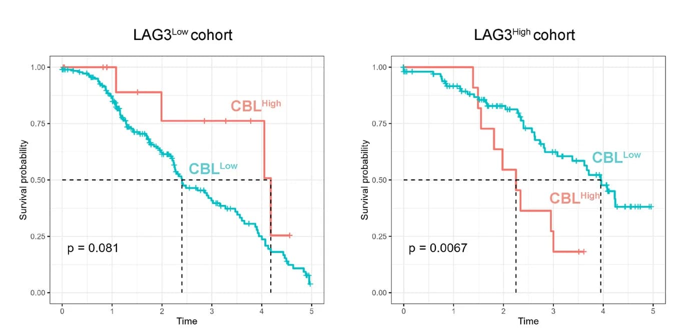 Open access visualization of Survival Curve, Line Step, Kaplan-Meier, Survival Analysis, Melanoma