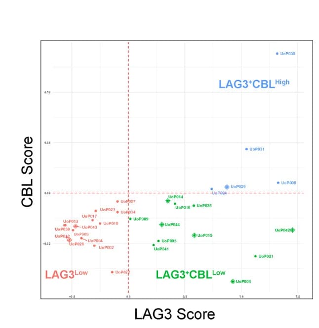 Open access visualization of Scatter Plot, Patient Stratification, LAG3, CBL, Expression