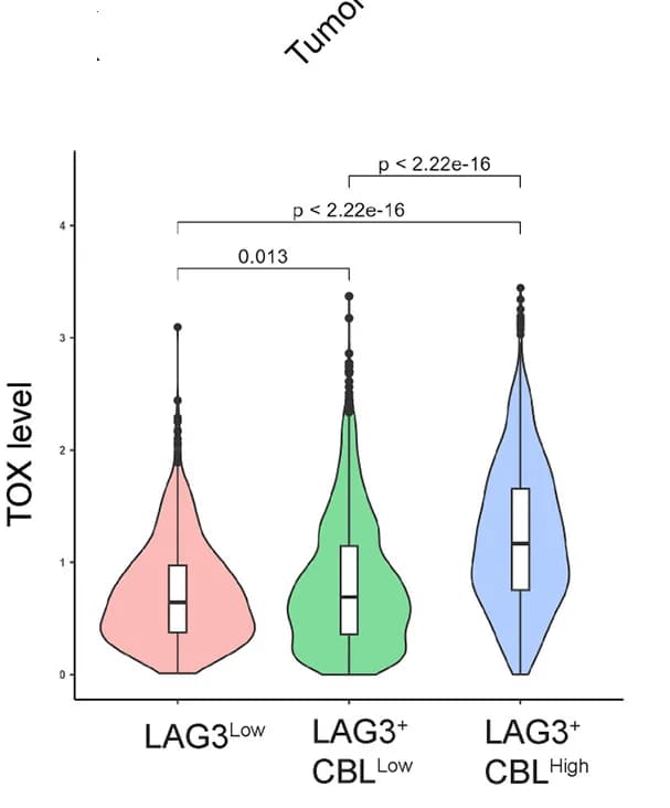 Open access visualization of Violin Plot, Box Plot, Scatter Plot, TOX, Expression
